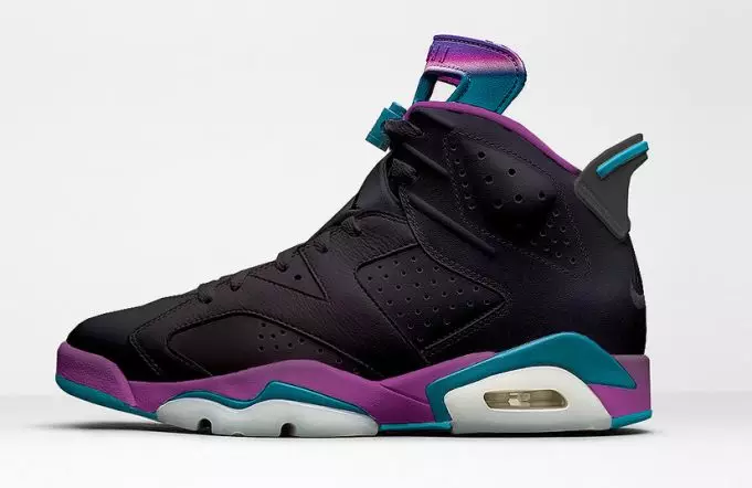 Чорні райдужні Air Jordan 6 Hornets 2017