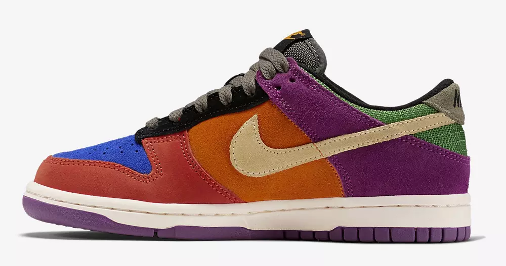 Nike Dunk Viotech Kids