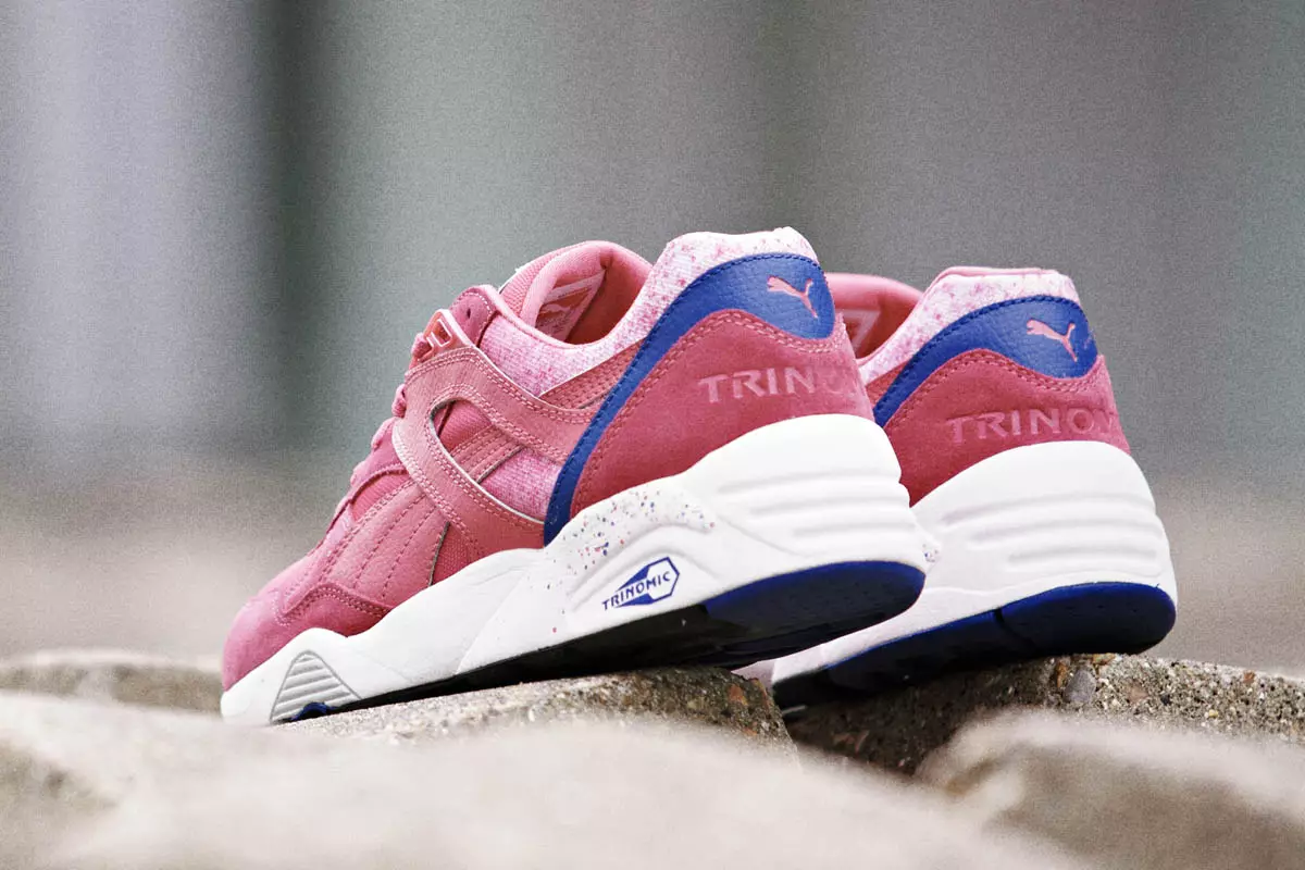 PUMA 698 шашыратқыш жинағы