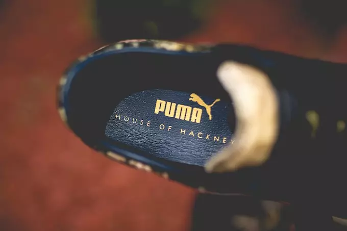 Хакнигийн байшин PUMA сагс сарнай