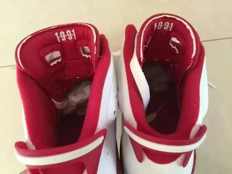 Air Jordan 6 Retro Zając