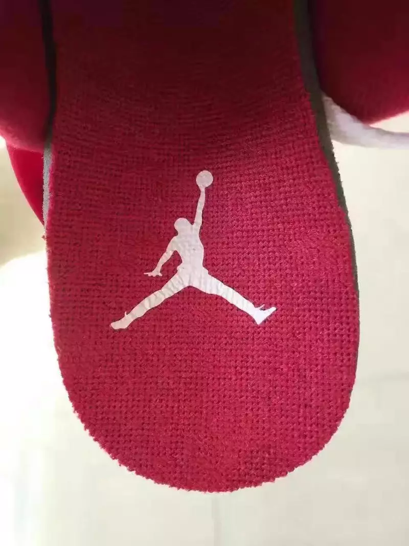 Air Jordan 6 Retro Tavşan