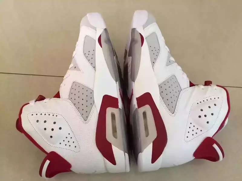 Air Jordan 6 Retro zaķis