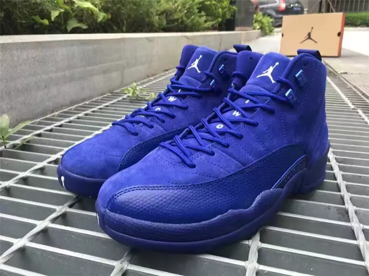 Air Jordan 12 kongeblå