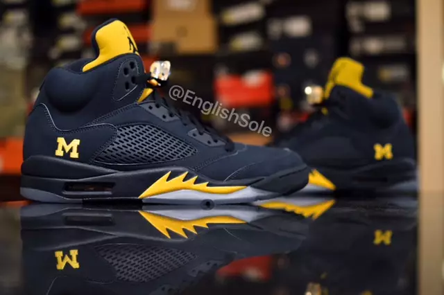 Michigan Air Jordan 5 PE