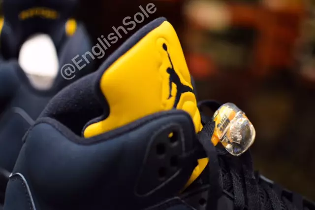 Michigan Air Jordan 5 PE