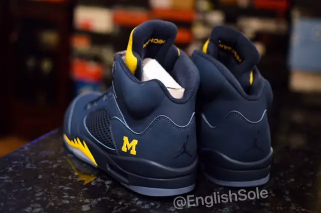 Michigan Aer Jordan 5 Corpoideachas