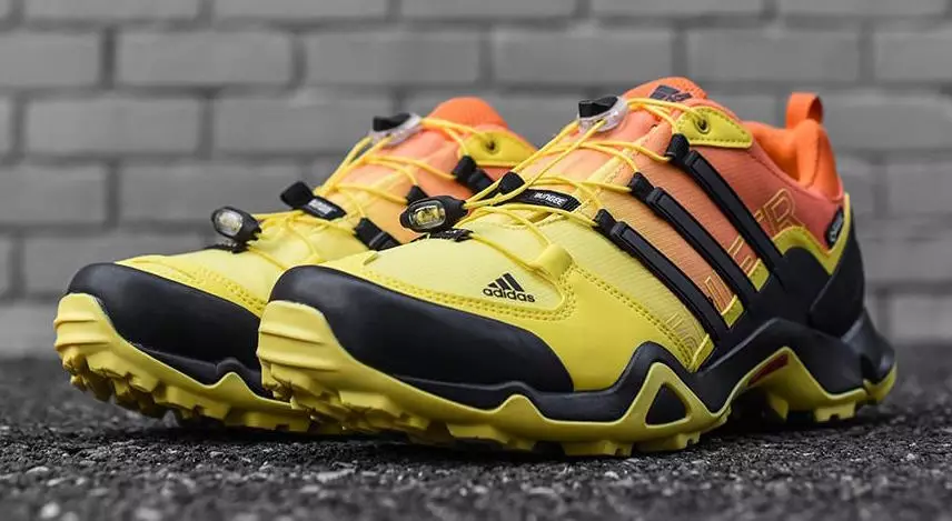 adidas берунии Terrex Swift R GTX 59824_3