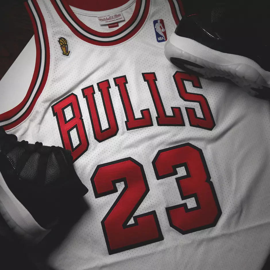 Мітчелл Несс Майкл Джордан 72-10 Bulls Jersey Air Jordan 11