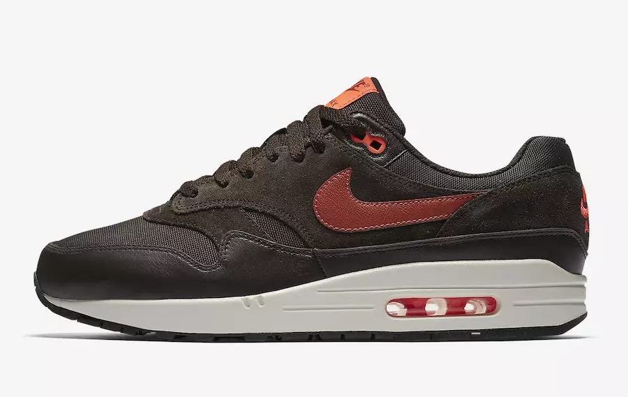 Nike Air Max 1 Premium tmavě hnědá 875844-202