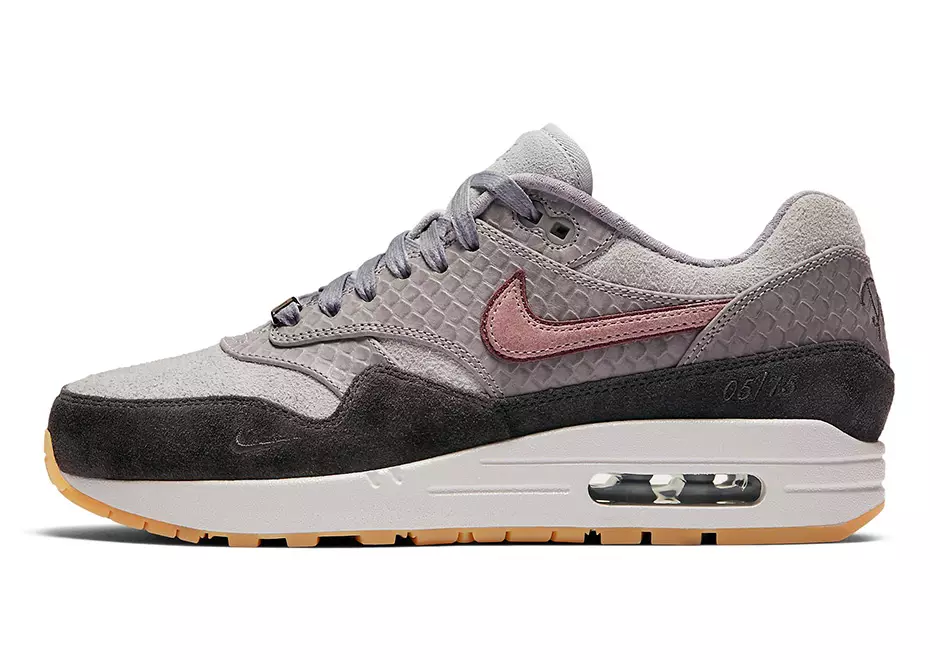 Nike Air Max 1 Paris AO0864-991