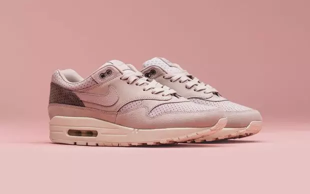 NikeLab Air Max 1 Pinnacle Paketi