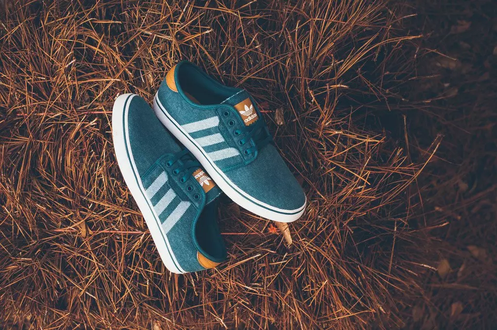 adidas Skateboarding Seeley Pro «Mesa»