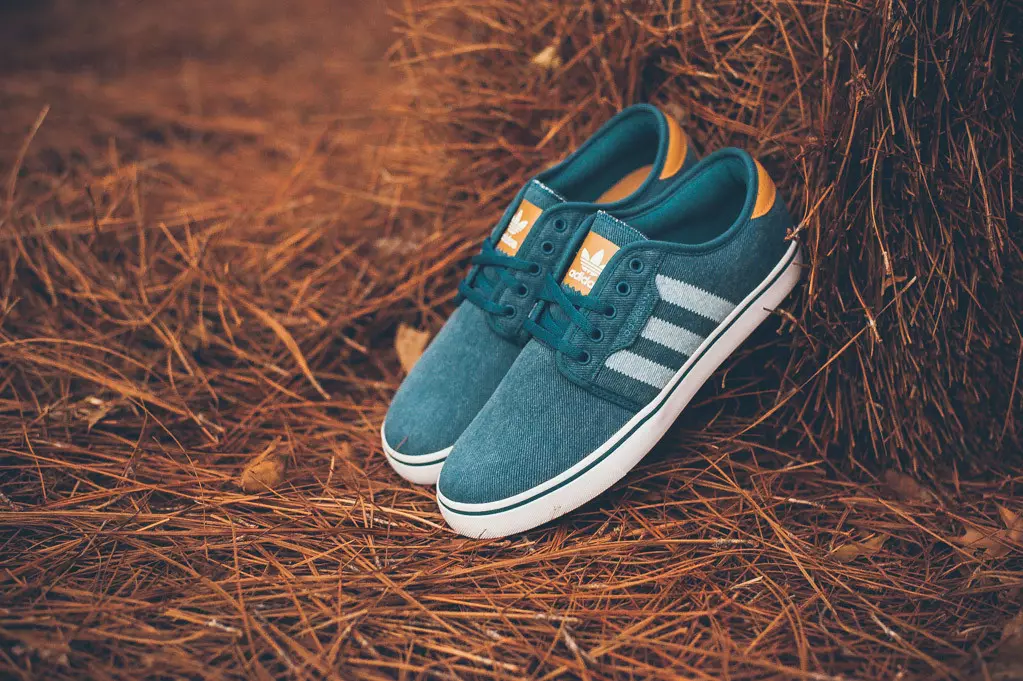 Adidas-Skateboarding-Seeley-Pro-Mesa-4