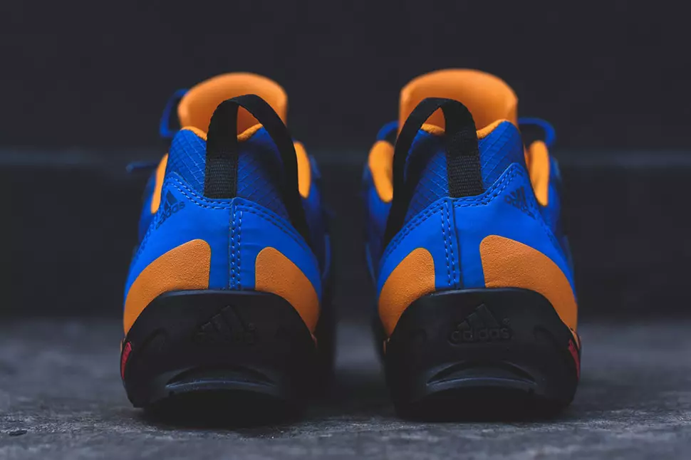 Knicks Aonair adidas Terrex Swift