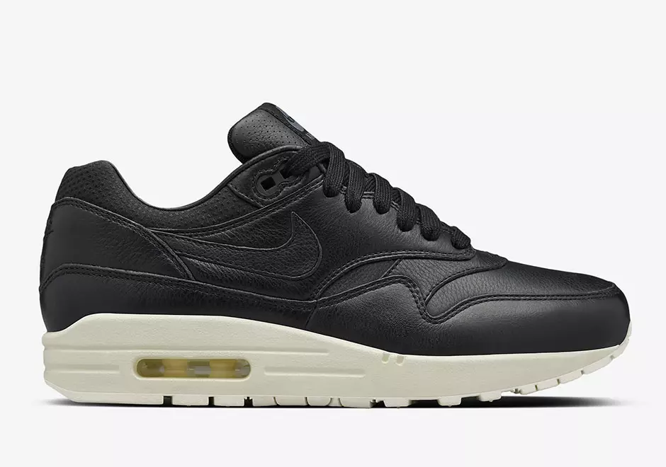 Kolekcja Nike Air Max 1 Pinnacle