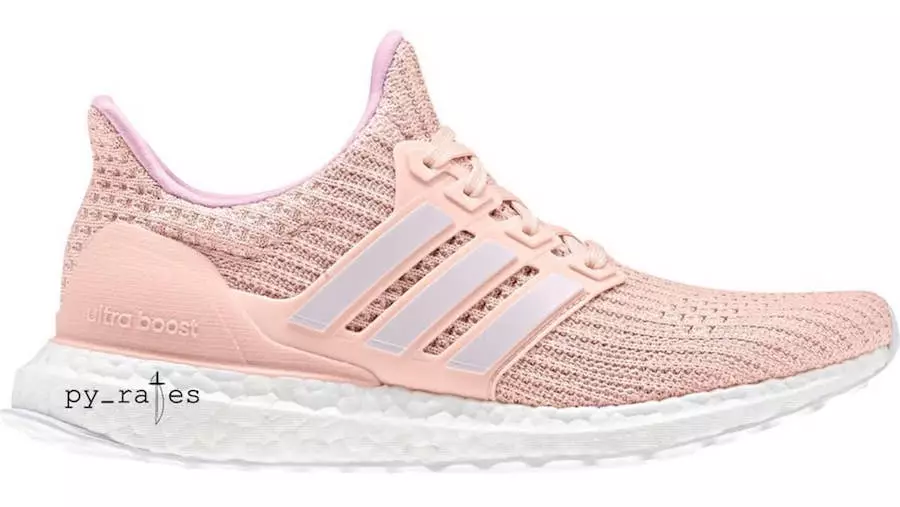 adidas Ultra Boost 2019 Pushti