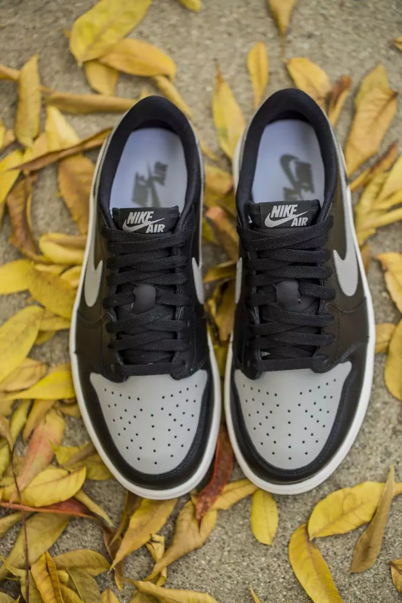 Air Jordan 1 Low Shadow