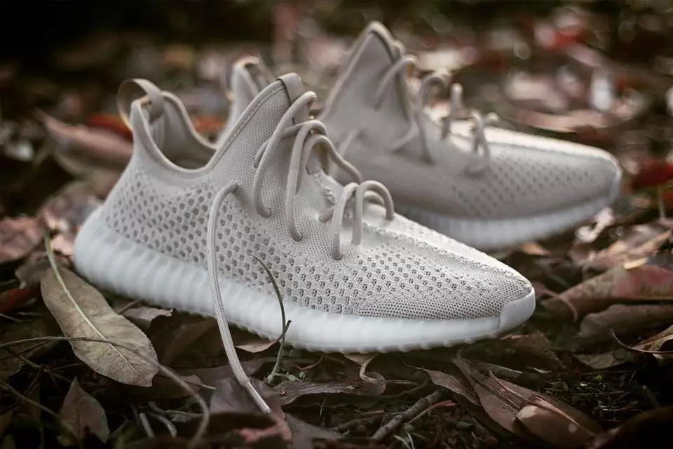 Đây có thể là adidas Yeezy Boost 350 V3?