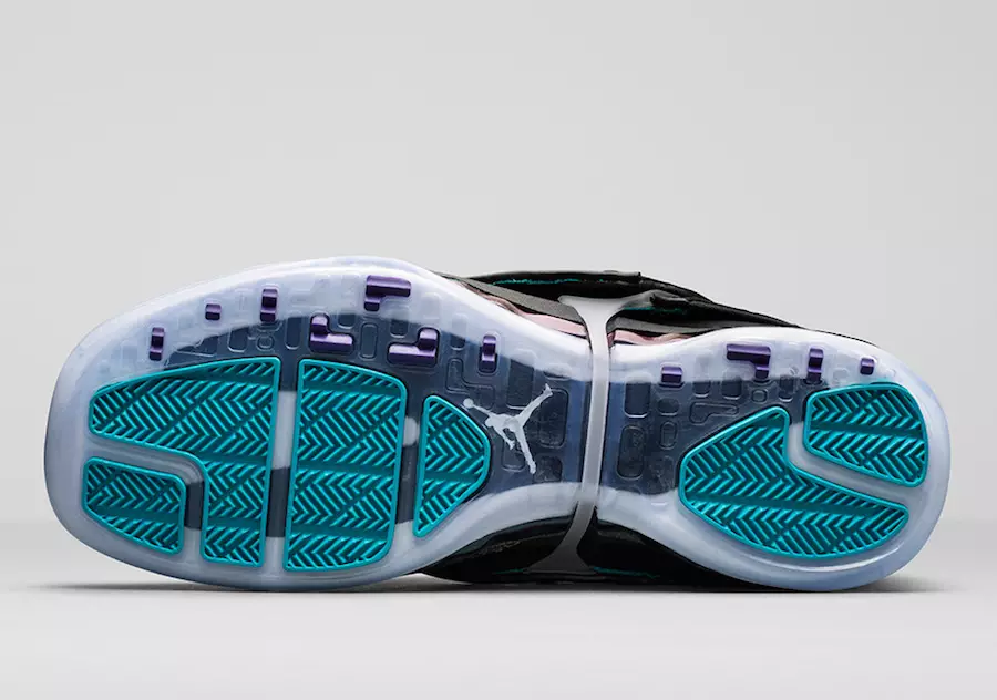 Air Jordan 16 компанийн гүйцэтгэх захирал Hornets AA1253-016