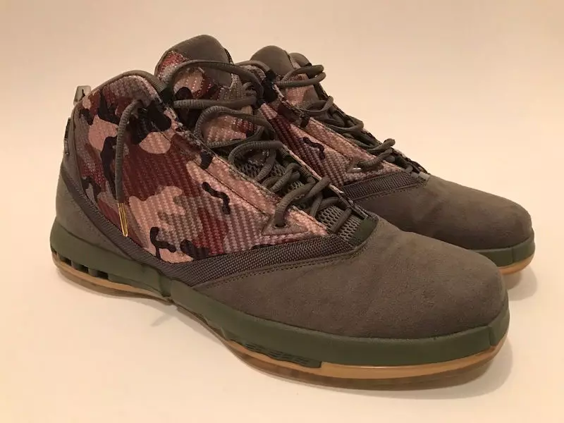 Air Jordan 16 ардагерлер күні Camo PE