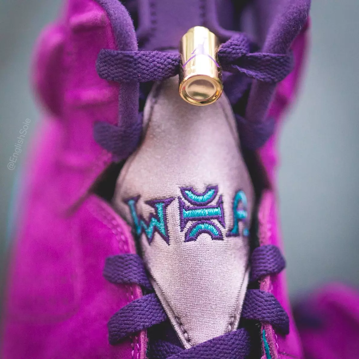 Air Jordan 6 Fraternity 2021 PE Violet